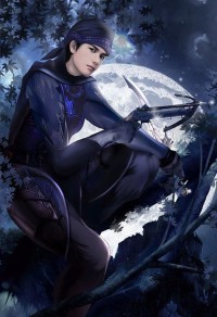淫墮的女武神